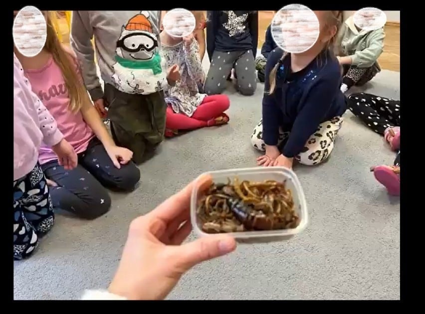 Afera w prywatnym przedszkolu we Wrześni. Dzieciom podawano do zjedzenia żywe owady?