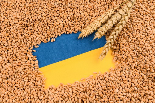 Mykoła Solski reaguje na zakaz importu produktów. “Ukraińscy rolnicy są w gorszej sytuacji niż polscy”